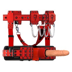 x4-sex-machine-with-strap-on-harness.jpg